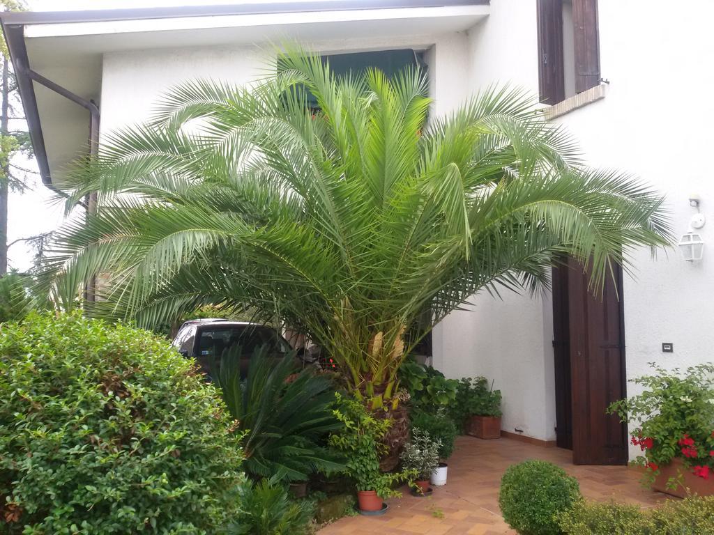 B&B La Cascina Concordia Sagittaria Zewnętrze zdjęcie